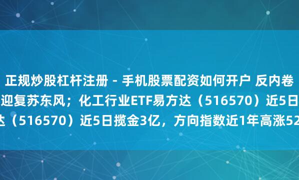 正规炒股杠杆注册 - 手机股票配资如何开户 反内卷 + 产能调控，化工行业迎复苏东风；化工行业ETF易方达（516570）近5日揽金3亿，方向指数近1年高涨52.52%
