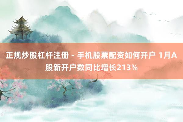 正规炒股杠杆注册 - 手机股票配资如何开户 1月A股新开户数同比增长213%