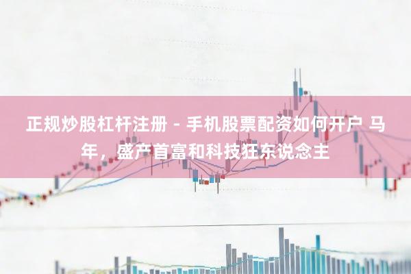 正规炒股杠杆注册 - 手机股票配资如何开户 马年，盛产首富和科技狂东说念主