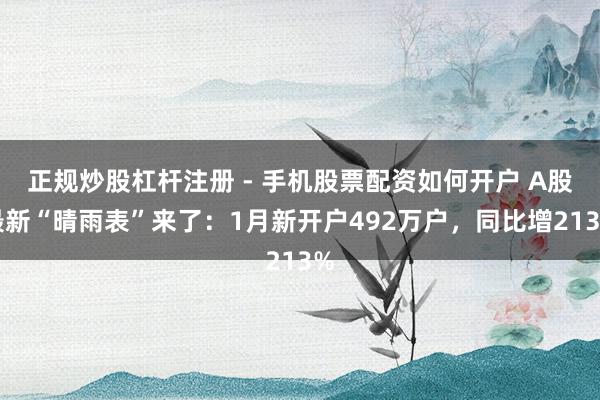 正规炒股杠杆注册 - 手机股票配资如何开户 A股最新“晴雨表”来了：1月新开户492万户，同比增213%