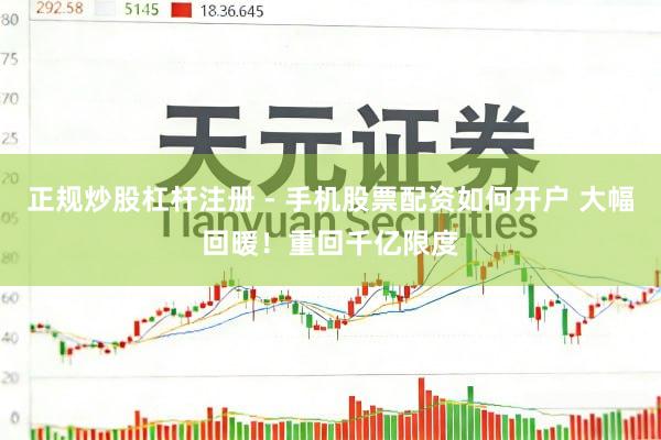 正规炒股杠杆注册 - 手机股票配资如何开户 大幅回暖！重回千亿限度