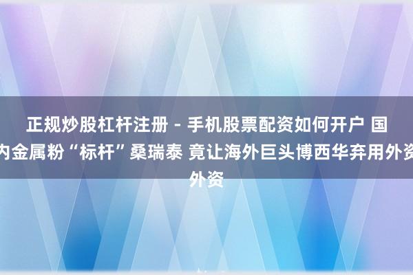正规炒股杠杆注册 - 手机股票配资如何开户 国内金属粉“标杆”桑瑞泰 竟让海外巨头博西华弃用外资