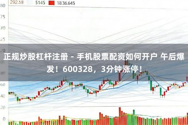 正规炒股杠杆注册 - 手机股票配资如何开户 午后爆发！600328，3分钟涨停！