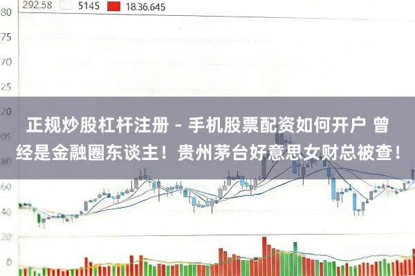 正规炒股杠杆注册 - 手机股票配资如何开户 曾经是金融圈东谈主！贵州茅台好意思女财总被查！